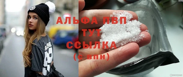 индика Вяземский