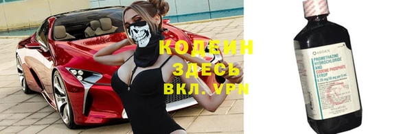 индика Вяземский