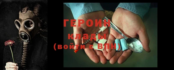 индика Вяземский
