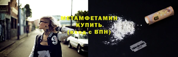 индика Вяземский