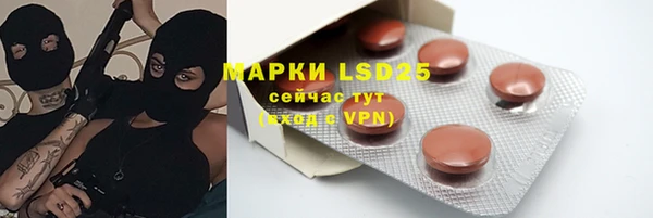 хмурый Горняк
