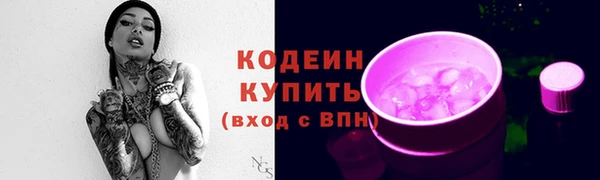 ГАЛЛЮЦИНОГЕННЫЕ ГРИБЫ Вязьма