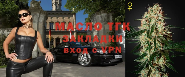 индика Вяземский