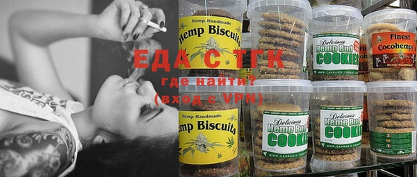 индика Вяземский