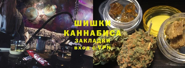 индика Вяземский