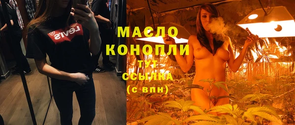 индика Вяземский