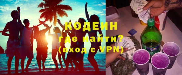 индика Вяземский