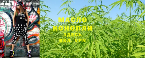 индика Вяземский