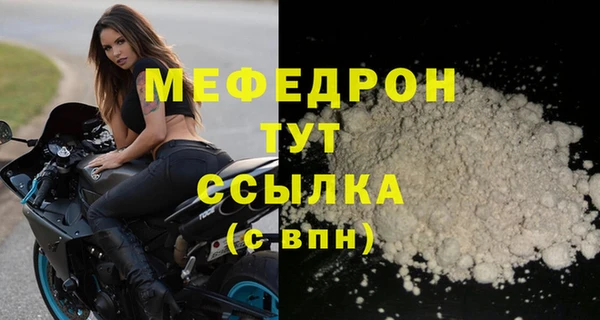 индика Вяземский