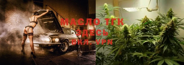 индика Вяземский