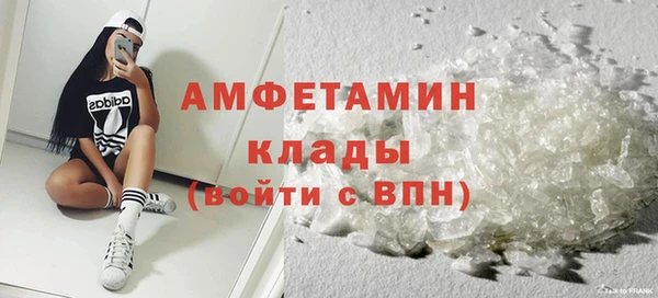 индика Вяземский