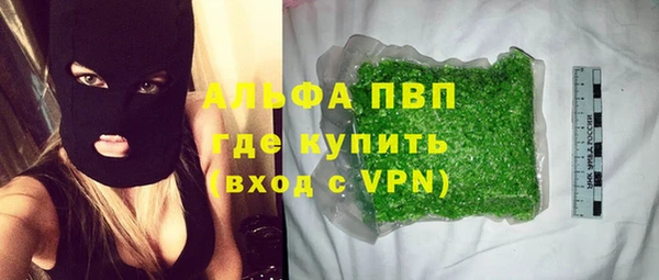 ГАЛЛЮЦИНОГЕННЫЕ ГРИБЫ Вязьма