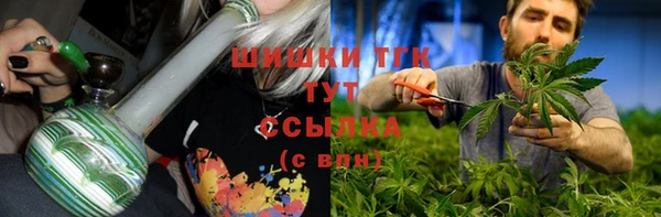 ГАЛЛЮЦИНОГЕННЫЕ ГРИБЫ Вязьма
